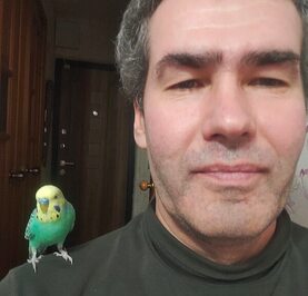Вова