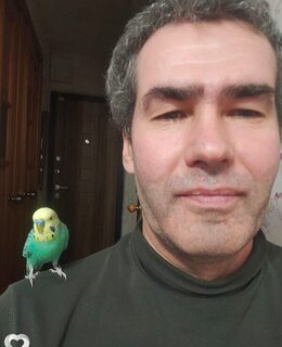 Вова