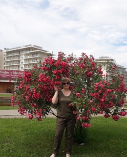Алла
