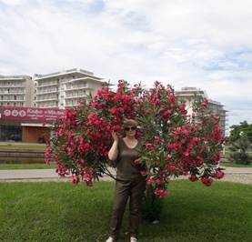 Алла